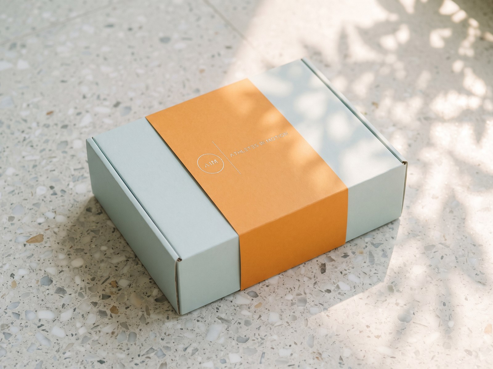 A render of a pale blue box with an orange paper sleeve carrying the AIM lockup in white, on terrazzo in leaf shadow